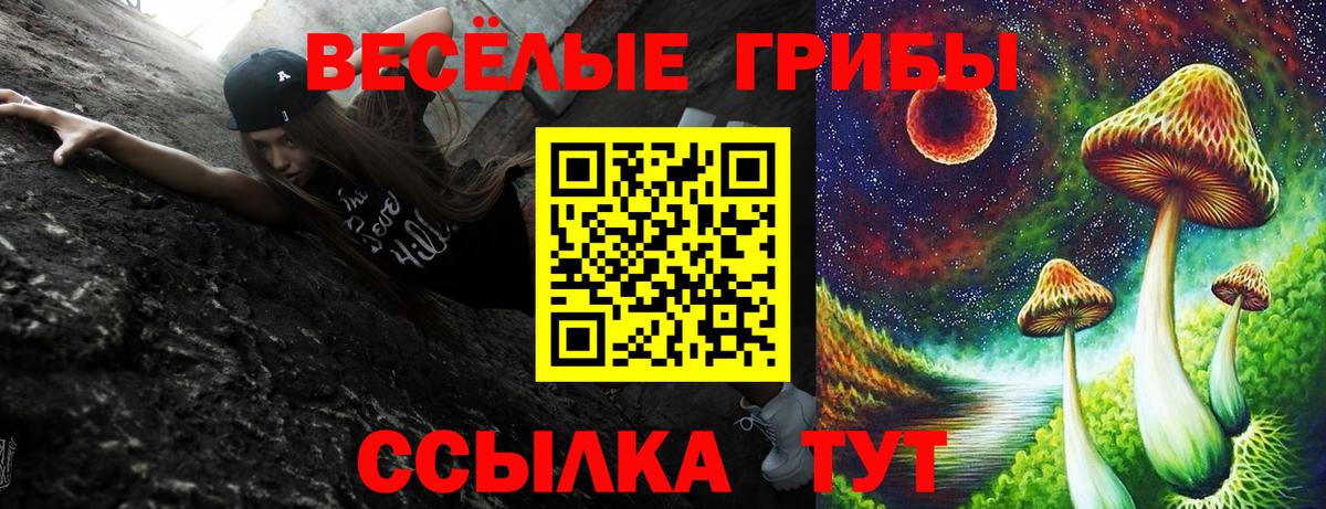 Галлюциногенные грибы Psilocybine cubensis Кубинка