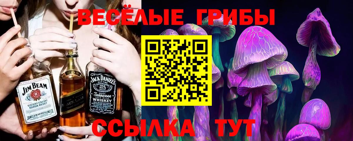 Кубинка  Галлюциногенные грибы мухоморы  Вход с VPN  Псилоцибиновые грибы мухоморы 